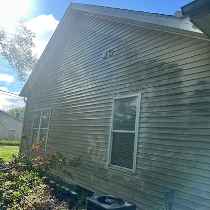 Vinyl Siding — Green Mold Removal — before